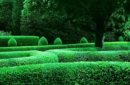 Tigger Moscow - tigger@apertureartist.com